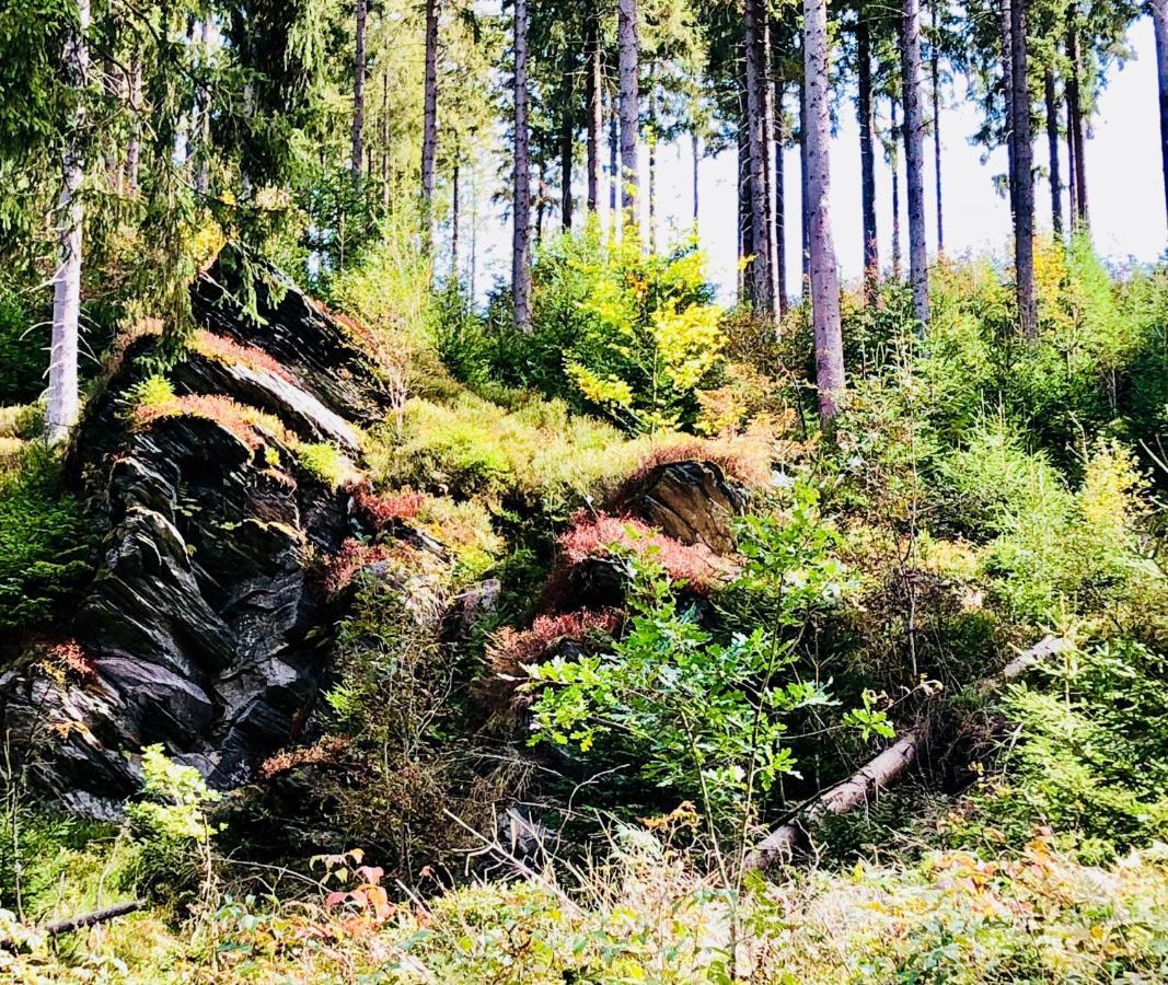 Hof Vierzehnender Im Hohen Venn - 70Qm Maisonette - 2 Schlafzimmer - Wohnkueche - Balkon Mit Grill - Monschau - Eifel - Hunde Willkommen - Islandpferde Екстер'єр фото